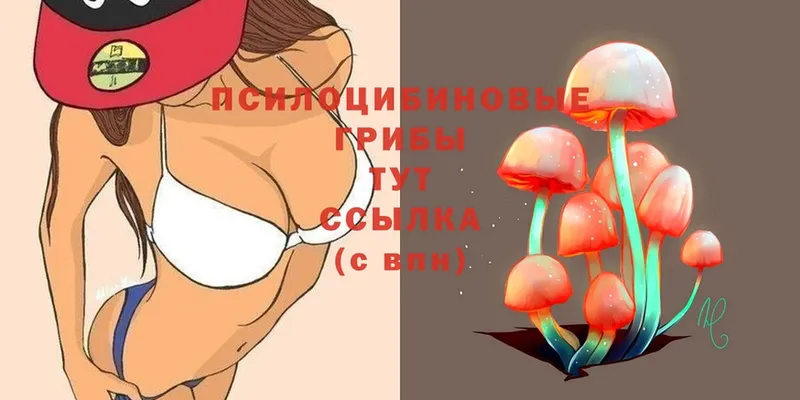 Псилоцибиновые грибы Magic Shrooms  hydra зеркало  Георгиевск 